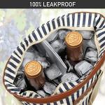 Insulated Wine Tote for Travel and Picnics