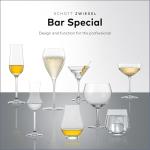 ZWIESEL GLAS Port Wine Glasses Set of 6 | Best Dessert Wine Glasses & Affordable Luxury Crystal Stemware