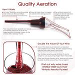 Vintorio Premium Wine Aerator Pourer - Black