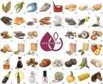 Wine Aroma Kit with 88 Scents and Game