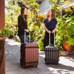 VinGardeValise® Travel Wine Suitcase - 12 Bottles