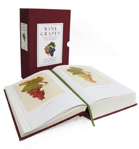 Advanced Wine Guides