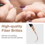 Metallic Nail Art Pens and Liner Brushes Set