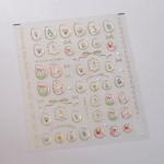 5D Flower Nail Art Stickers with Geometric Frames