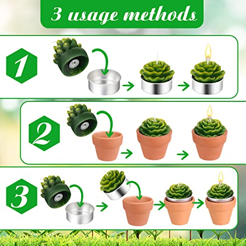 12 Mini Succulent Tealight Candles Party Favors