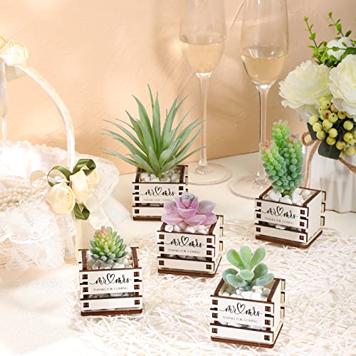 50 Rustic Mini Succulent Pots for Weddings