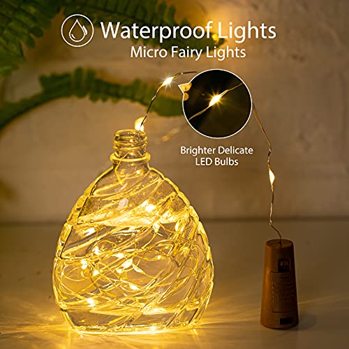 Wine Bottle Lights, 10 Pack LED Fairy Lights