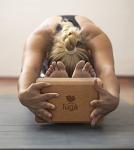IUGA Cork Blocks for Yoga and Fitness
