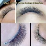 NAGARAKU W Shape Premade Fans Eyelash Extensions
