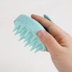 Silicone Scalp Massager & Shampoo Brush Combo