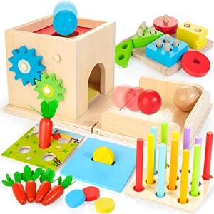 8-in-1 Montessori Wooden Activity Play Kit