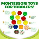 Skoolzy Apple Sorting Toy for Toddlers