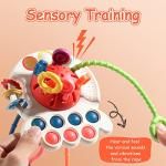 Montessori Sensory Toys for 1 Year Olds