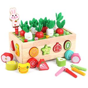 Montessori Wooden Shape Sorting Toy for Toddlers