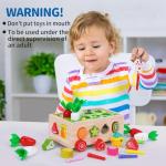 Montessori Wooden Shape Sorting Toy for Toddlers