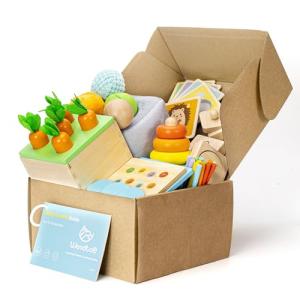 Woodtoe Montessori Wooden Learning Toys for Toddlers