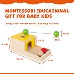 4-in-1 Montessori Play Kit for Toddlers