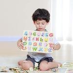 Montessori Toddler Wooden Puzzles Set for Kids