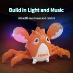 Musical Lobster Tummy Time Sensory Toy