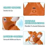 Musical Lobster Tummy Time Sensory Toy