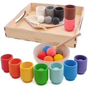 Ulanik Balls in Cups Montessori Matching Game