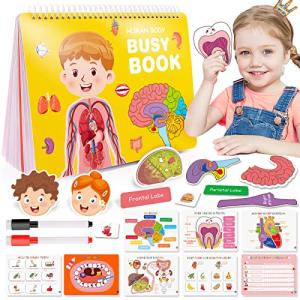 Montessori Human Body Busy Book for Kids