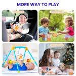 Montessori Baby Toys for 0-12 Months 4-in-1 Set