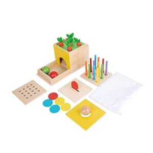Adena Montessori 5-in-1 Wooden Baby Play Kit
