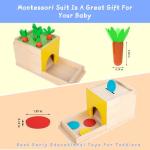 Adena Montessori 5-in-1 Wooden Baby Play Kit