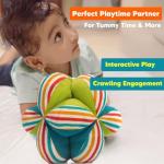 Colorful Plush Baby Ball with Rattle