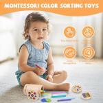 Montessori 3-in-1 Color Sorting Sensory Toys