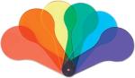 12 Color Paddles for Montessori Learning Fun