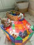 Magnetic Tiles Starter Set for Creative Play
