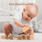 Woodtoe Montessori Coin Box for Toddlers 18+ Months