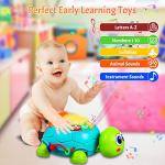Musical Crawling Turtle Toy for Infants