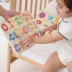 9-Pack Montessori Wooden Toddler Puzzle Set