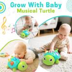 Musical Light-Up Crawling Turtle Toy for Infants