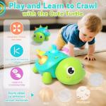 Musical Light-Up Crawling Turtle Toy for Infants