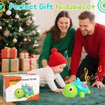 Musical Light-Up Crawling Turtle Toy for Infants