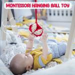 Montessori Fabric Rattle Ball for Babies 6-12 Months