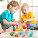 Vinlon Montessori Shape Sorting Stacking Toy Set