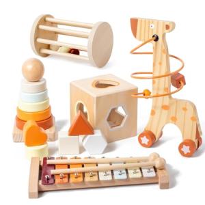 Montessori Wooden Stacking Rings and Sorting Cube
