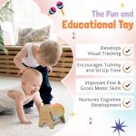 Montessori Spinning Drum for Babies and Toddlers