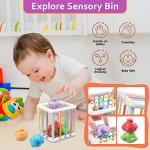 Weilim Montessori Sensory Toy Set for Babies
