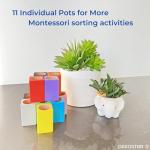 Montessori Crayon Holder and Craft Organizer