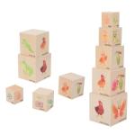 Wooden Life Cycle Nesting Blocks, Sorting & Stacking Montessori Toys for Kids, Preschool Educational Learning Cube Boxes for Toddlers 3+, Science Toy Set for Baby Boys & Girls (5 Pcs)