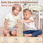 Wooden Life Cycle Nesting Blocks, Sorting & Stacking Montessori Toys for Kids, Preschool Educational Learning Cube Boxes for Toddlers 3+, Science Toy Set for Baby Boys & Girls (5 Pcs)