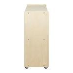 Montessori Bookcase on Wheels - 2 Shelves