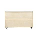Montessori Bookcase on Wheels - 2 Shelves
