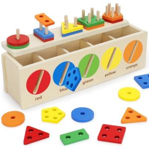 Montessori Wooden Color & Shape Sorting Box for Toddlers